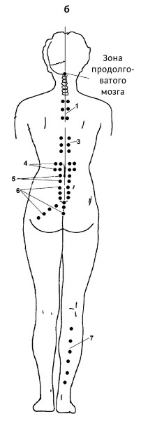 Иллюстрация к книге — Большой атлас целительных точек. 200 упражнений для здоровья и долголетия [i_116.jpg]