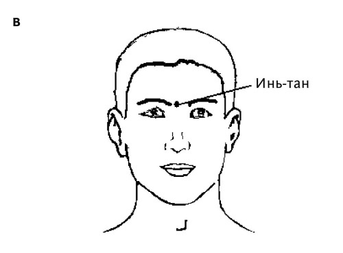 Иллюстрация к книге — Большой атлас целительных точек. 200 упражнений для здоровья и долголетия [i_120.jpg]