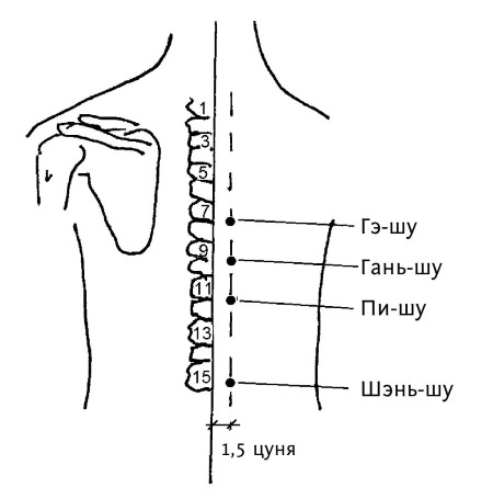 Иллюстрация к книге — Большой атлас целительных точек. 200 упражнений для здоровья и долголетия [i_122.jpg]