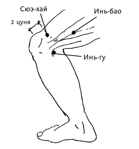 Иллюстрация к книге — Большой атлас целительных точек. 200 упражнений для здоровья и долголетия [i_123.jpg]