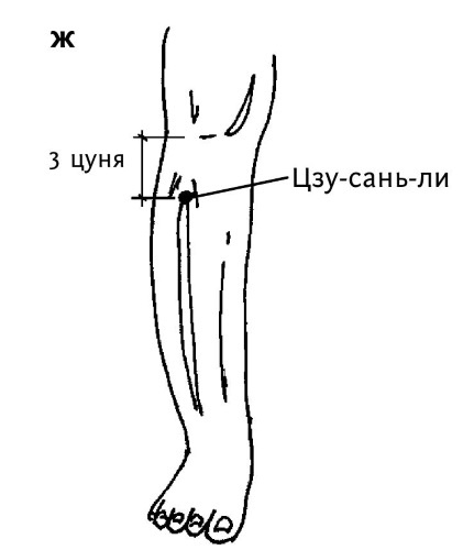 Иллюстрация к книге — Большой атлас целительных точек. 200 упражнений для здоровья и долголетия [i_124.jpg]