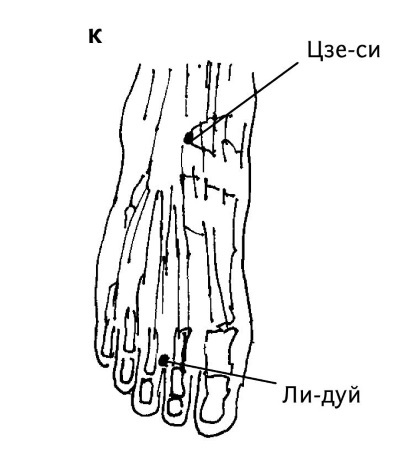 Иллюстрация к книге — Большой атлас целительных точек. 200 упражнений для здоровья и долголетия [i_127.jpg]