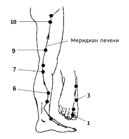 Иллюстрация к книге — Большой атлас целительных точек. 200 упражнений для здоровья и долголетия [i_135.jpg]
