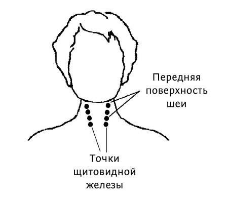 Иллюстрация к книге — Большой атлас целительных точек. 200 упражнений для здоровья и долголетия [i_137.jpg]