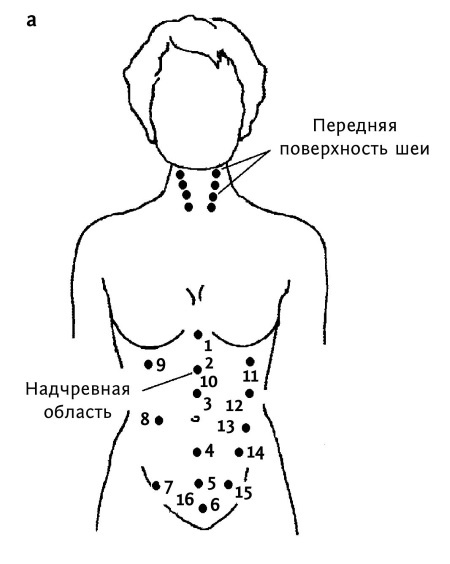 Иллюстрация к книге — Большой атлас целительных точек. 200 упражнений для здоровья и долголетия [i_139.jpg]