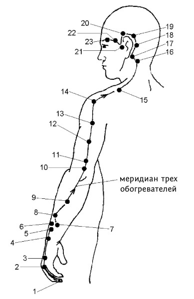 Иллюстрация к книге — Большой атлас целительных точек. 200 упражнений для здоровья и долголетия [i_143.jpg]