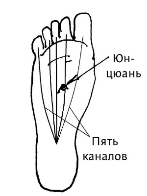 Иллюстрация к книге — Большой атлас целительных точек. 200 упражнений для здоровья и долголетия [i_172.jpg]