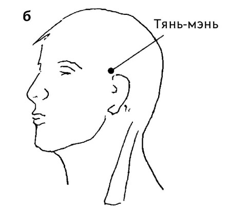 Иллюстрация к книге — Большой атлас целительных точек. 200 упражнений для здоровья и долголетия [i_173.jpg]