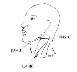 Иллюстрация к книге — 222 китайских исцеляющих упражнения для здоровья позвоночника и суставов [Autogen_eBook_id116.jpg]