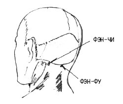 Иллюстрация к книге — 222 китайских исцеляющих упражнения для здоровья позвоночника и суставов [Autogen_eBook_id119.jpg]
