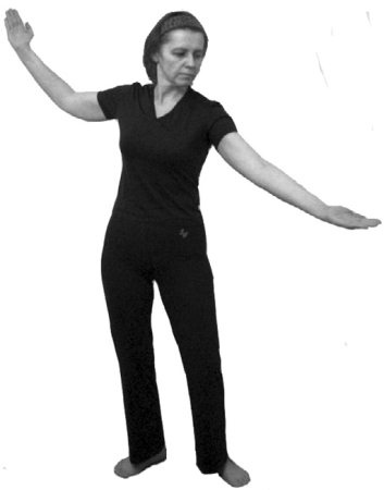 Иллюстрация к книге — 222 китайских исцеляющих упражнения для здоровья позвоночника и суставов [Autogen_eBook_id12.jpg]