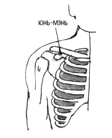 Иллюстрация к книге — 222 китайских исцеляющих упражнения для здоровья позвоночника и суставов [Autogen_eBook_id122.jpg]