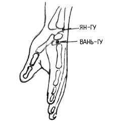 Иллюстрация к книге — 222 китайских исцеляющих упражнения для здоровья позвоночника и суставов [Autogen_eBook_id130.jpg]