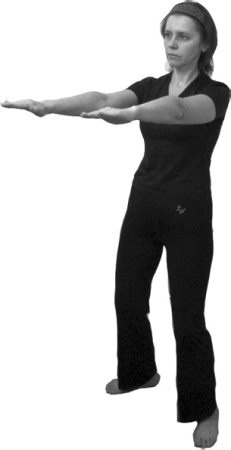 Иллюстрация к книге — 222 китайских исцеляющих упражнения для здоровья позвоночника и суставов [Autogen_eBook_id14.jpg]