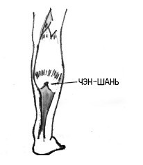 Иллюстрация к книге — 222 китайских исцеляющих упражнения для здоровья позвоночника и суставов [Autogen_eBook_id142.jpg]