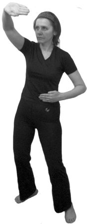 Иллюстрация к книге — 222 китайских исцеляющих упражнения для здоровья позвоночника и суставов [Autogen_eBook_id21.jpg]