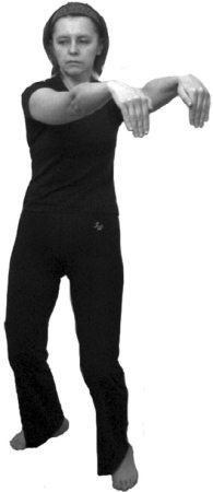 Иллюстрация к книге — 222 китайских исцеляющих упражнения для здоровья позвоночника и суставов [Autogen_eBook_id78.jpg]