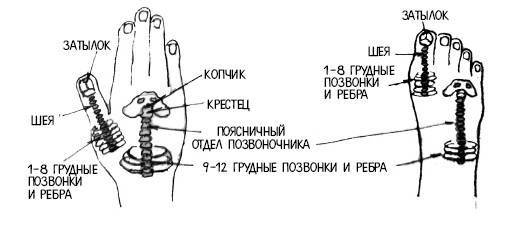 Иллюстрация к книге — 222 китайских исцеляющих упражнения для здоровья позвоночника и суставов [Autogen_eBook_id99.jpg]