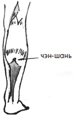 Иллюстрация к книге — 700 китайских упражнений для лечения и предотвращения 100 болезней [Autogen_eBook_id113.jpg]