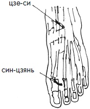 Иллюстрация к книге — 700 китайских упражнений для лечения и предотвращения 100 болезней [Autogen_eBook_id183.jpg]