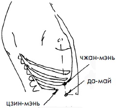 Иллюстрация к книге — 700 китайских упражнений для лечения и предотвращения 100 болезней [Autogen_eBook_id220.jpg]