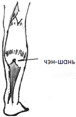 Иллюстрация к книге — 700 китайских упражнений для лечения и предотвращения 100 болезней [Autogen_eBook_id225.jpg]