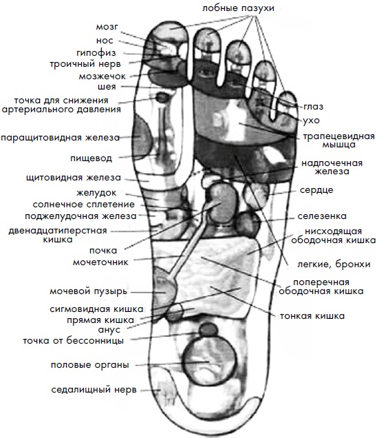 Иллюстрация к книге — 700 китайских упражнений для лечения и предотвращения 100 болезней [Autogen_eBook_id236.jpg]
