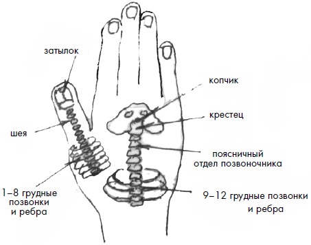 Иллюстрация к книге — 700 китайских упражнений для лечения и предотвращения 100 болезней [Autogen_eBook_id237.jpg]