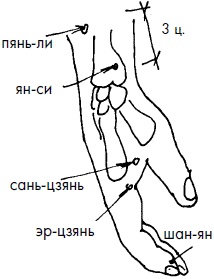 Иллюстрация к книге — 700 китайских упражнений для лечения и предотвращения 100 болезней [Autogen_eBook_id291.jpg]