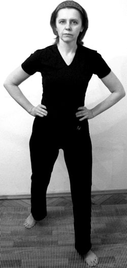 Иллюстрация к книге — 700 китайских упражнений для лечения и предотвращения 100 болезней [Autogen_eBook_id328.jpg]