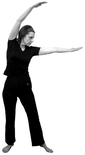 Иллюстрация к книге — 700 китайских упражнений для лечения и предотвращения 100 болезней [Autogen_eBook_id349.jpg]