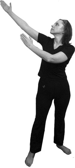 Иллюстрация к книге — 700 китайских упражнений для лечения и предотвращения 100 болезней [Autogen_eBook_id360.jpg]