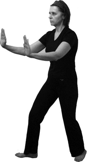 Иллюстрация к книге — 700 китайских упражнений для лечения и предотвращения 100 болезней [Autogen_eBook_id365.jpg]