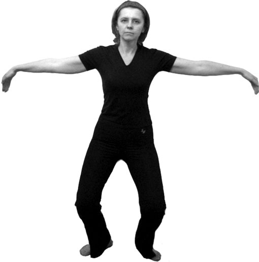 Иллюстрация к книге — 700 китайских упражнений для лечения и предотвращения 100 болезней [Autogen_eBook_id384.jpg]