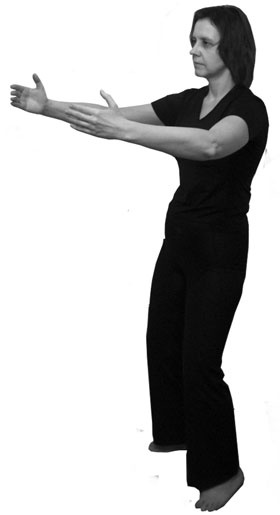 Иллюстрация к книге — 700 китайских упражнений для лечения и предотвращения 100 болезней [Autogen_eBook_id409.jpg]