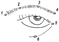 Иллюстрация к книге — 700 китайских упражнений для лечения и предотвращения 100 болезней [Autogen_eBook_id43.jpg]