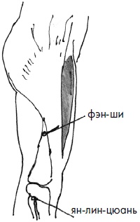 Иллюстрация к книге — 700 китайских упражнений для лечения и предотвращения 100 болезней [Autogen_eBook_id76.jpg]