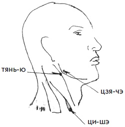 Иллюстрация к книге — 700 китайских упражнений для лечения и предотвращения 100 болезней [Autogen_eBook_id81.jpg]