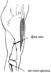 Иллюстрация к книге — 700 китайских упражнений для лечения и предотвращения 100 болезней [Autogen_eBook_id84.jpg]
