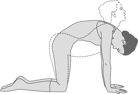 Иллюстрация к книге — Человек уставший. Как победить хроническую усталость и вернуть себе силы, энергию и радость жизни [i_018.jpg]