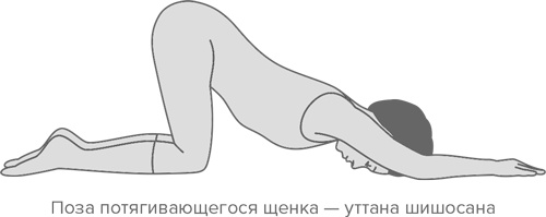 Иллюстрация к книге — Человек уставший. Как победить хроническую усталость и вернуть себе силы, энергию и радость жизни [i_025.jpg]