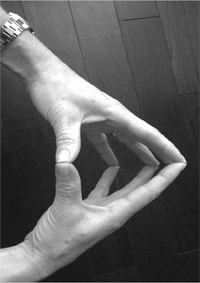 Иллюстрация к книге — Стрессоустойчивость. Как сохранять спокойствие и эффективность в любых ситуациях [i_022.jpg]