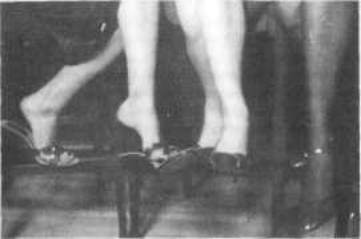 Иллюстрация к книге — С.С.С. (Скрытые сексуальные сигналы) [image8.jpg]