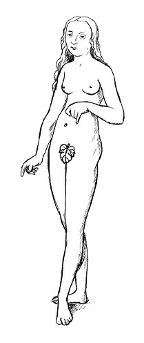 Иллюстрация к книге — Психология типов тела. Развитие новых возможностей. Практический подход [i_016.jpg]