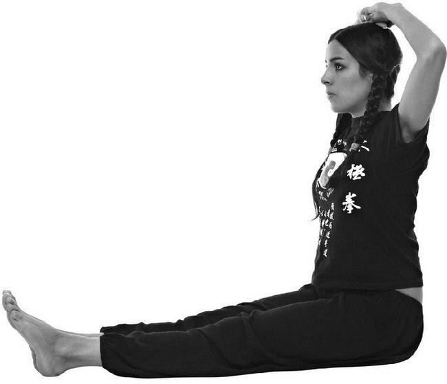 Иллюстрация к книге — Тайцзи. Секреты здоровья [i_014.jpg]