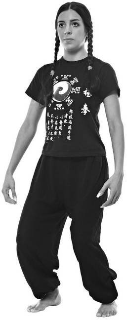 Иллюстрация к книге — Тайцзи. Секреты здоровья [i_017.jpg]