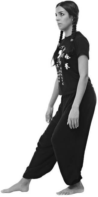 Иллюстрация к книге — Тайцзи. Секреты здоровья [i_018.jpg]