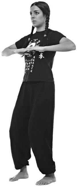 Иллюстрация к книге — Тайцзи. Секреты здоровья [i_023.jpg]