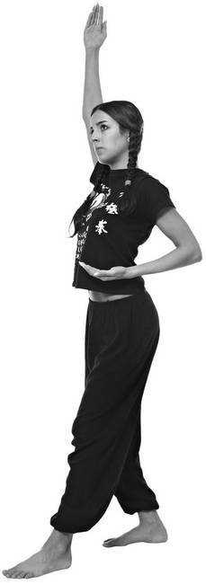 Иллюстрация к книге — Тайцзи. Секреты здоровья [i_028.jpg]