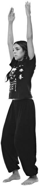 Иллюстрация к книге — Тайцзи. Секреты здоровья [i_034.jpg]